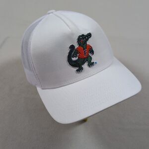 Rare Greyson Clothiers University of Florida Gators Snapback Trucker Hat